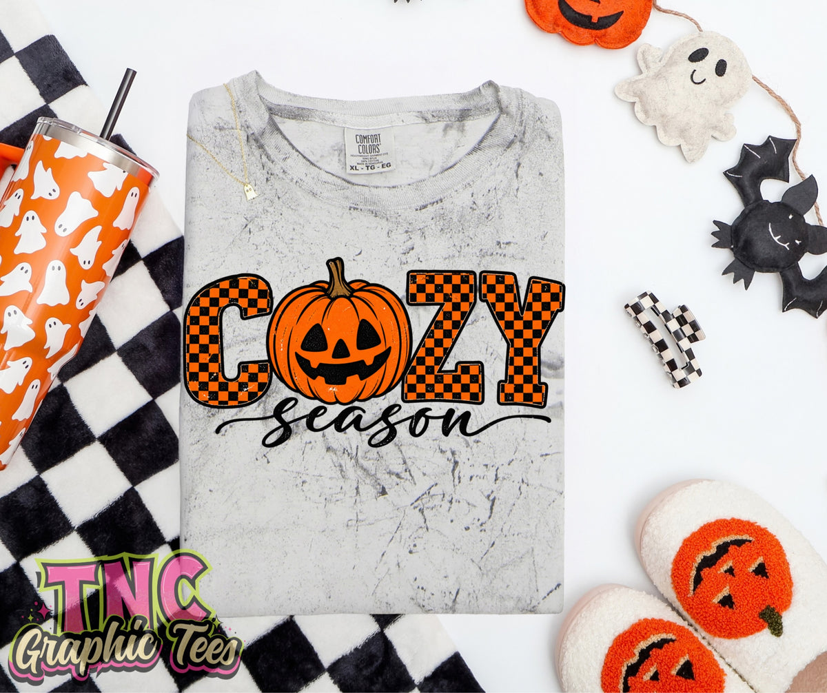 Checkered Cozy Season tee on Smoke Color Blast Comfort Colors
