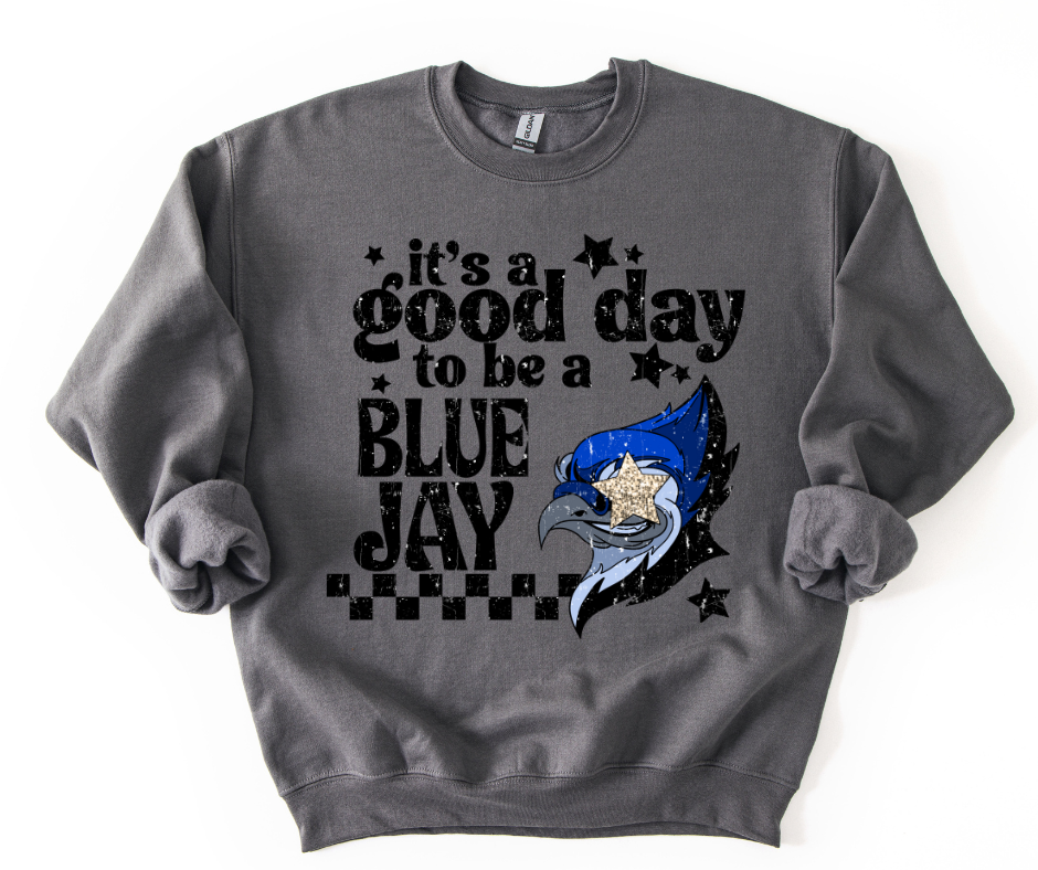 Good Day to Be a Bluejay