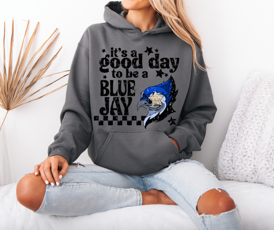 Good Day to Be a Bluejay