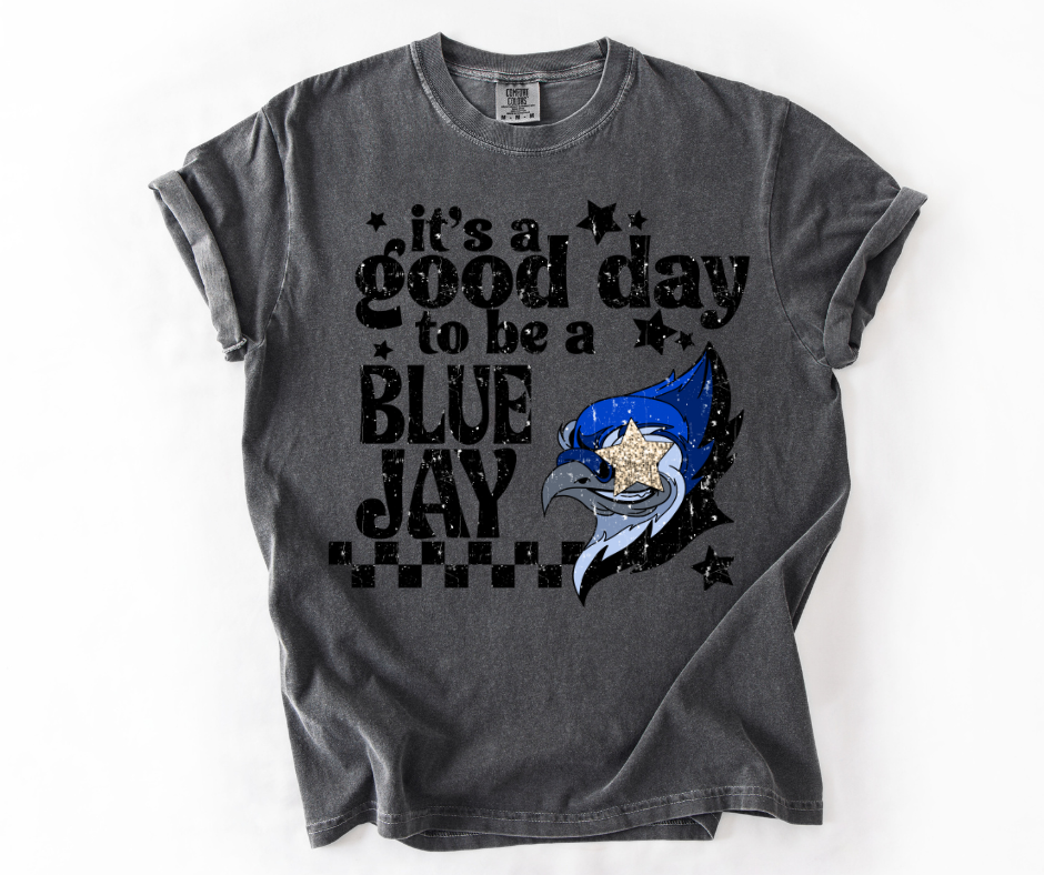 Good Day to Be a Bluejay